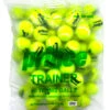 Prince Trainer Tennis Balls 60 Pack -Racket Pro Shop prince trainer tennis balls 60 pack 91684 95261.1698770299