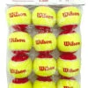 Wilson Starter Red Tennis Balls Dozen 1 Wilson Starter Red Tennis Balls Dozen -Racket Pro Shop wilson starter red tennis balls dozen 17281 09835.1698769436